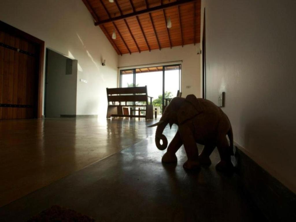 Mangrove Escapes Resort เบนโตตา ภายนอก รูปภาพ