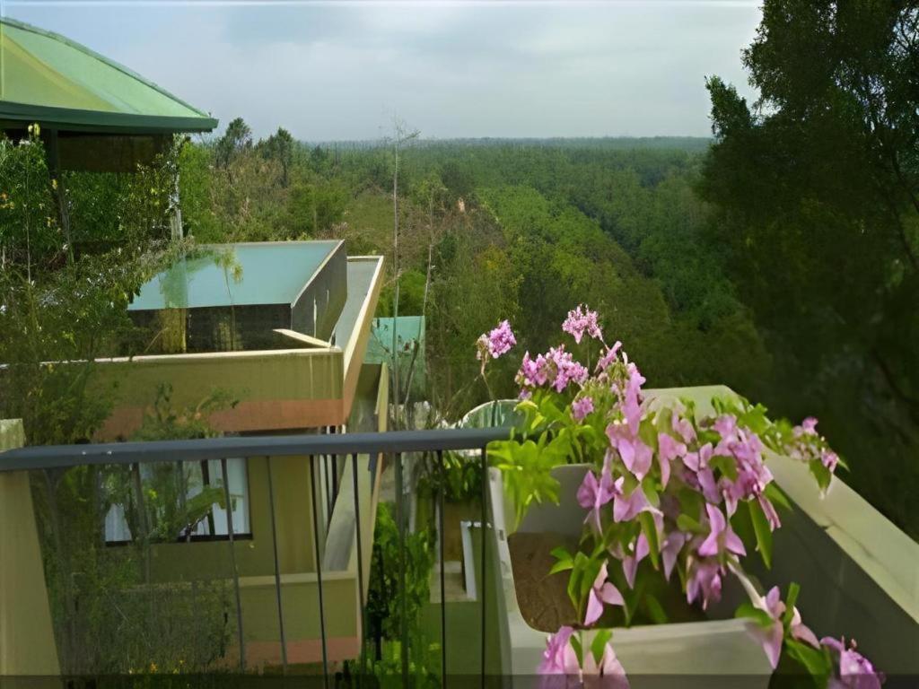 Mangrove Escapes Resort เบนโตตา ภายนอก รูปภาพ