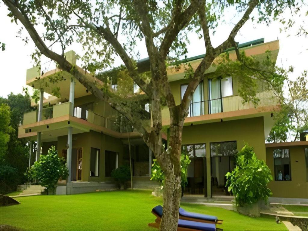 Mangrove Escapes Resort เบนโตตา ภายนอก รูปภาพ