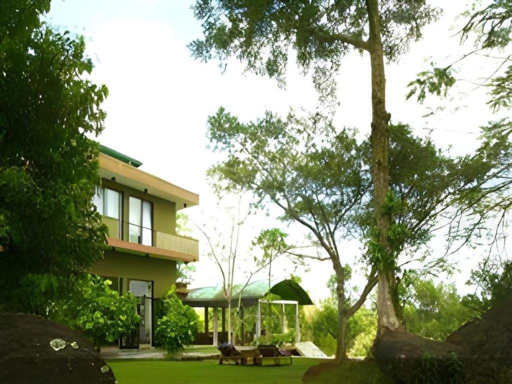 Mangrove Escapes Resort เบนโตตา ภายนอก รูปภาพ