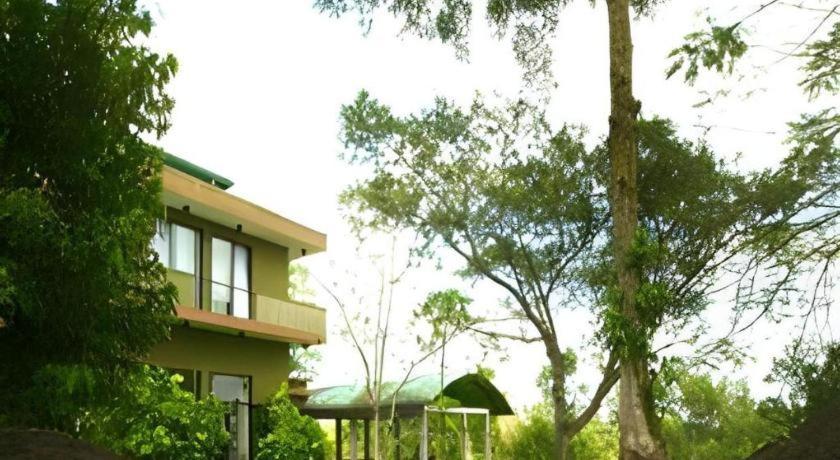 Mangrove Escapes Resort เบนโตตา ภายนอก รูปภาพ