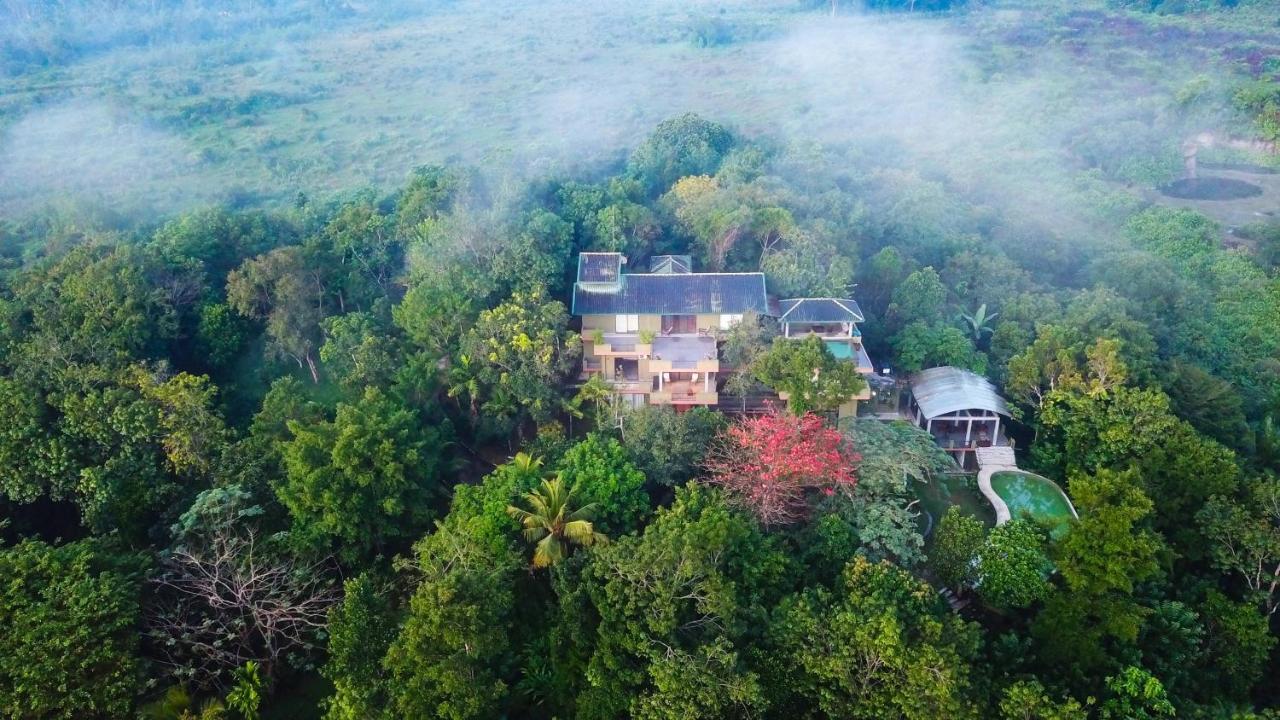 Mangrove Escapes Resort เบนโตตา ภายนอก รูปภาพ