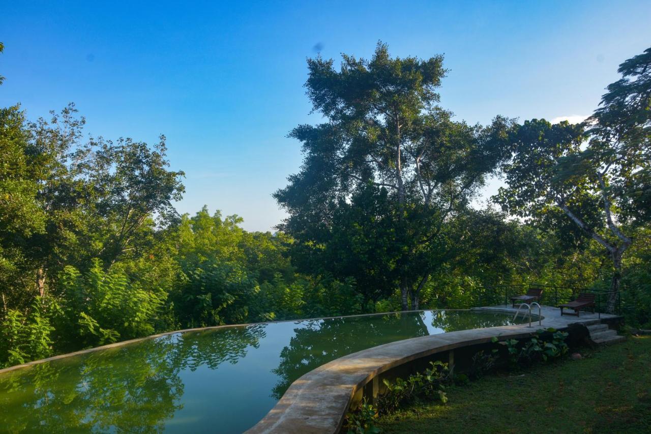 Mangrove Escapes Resort เบนโตตา ภายนอก รูปภาพ